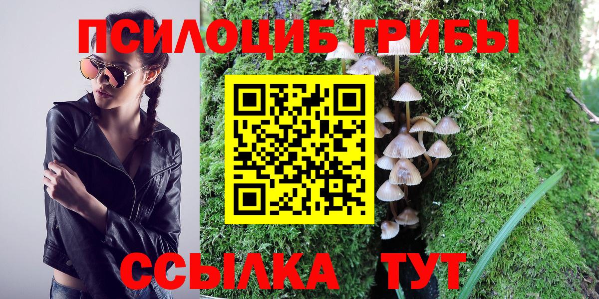 Моздок  Галлюциногенные грибы Psilocybine cubensis  Вход с VPN 